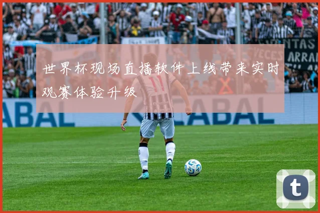 世界杯现场直播软件上线带来实时观赛体验升级