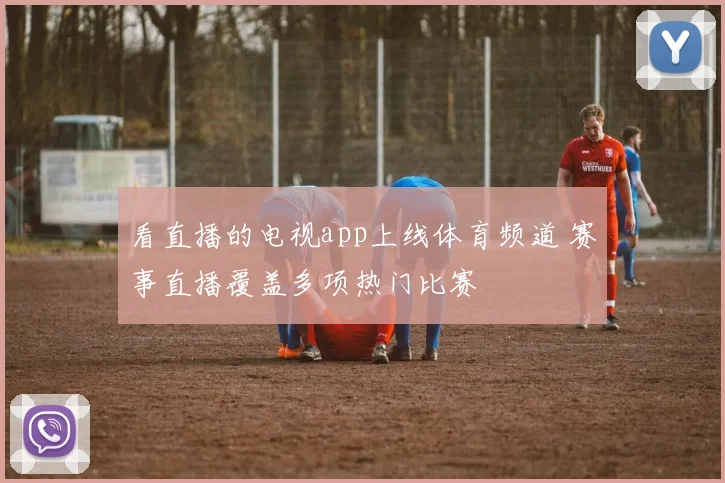 看直播的电视app上线体育频道 赛事直播覆盖多项热门比赛