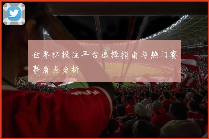 世界杯投注平台选择指南与热门赛事看点分析