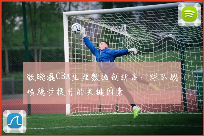 张晓磊CBA生涯数据创新高，球队战绩稳步提升的关键因素