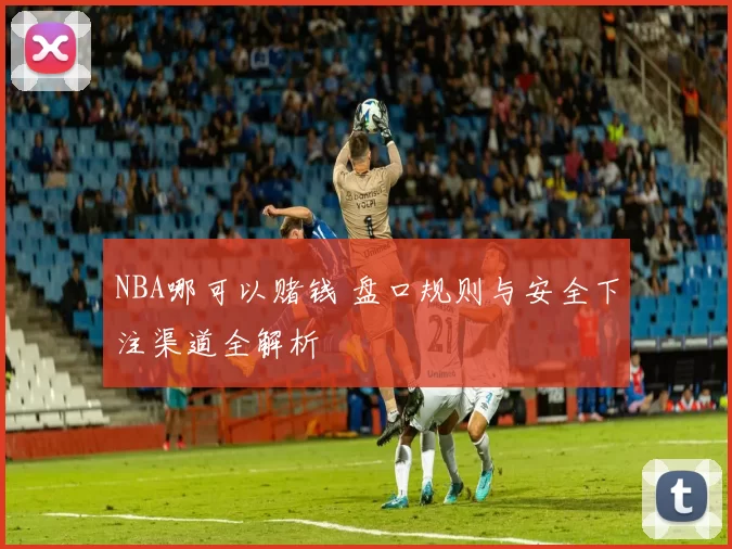 NBA哪可以赌钱 盘口规则与安全下注渠道全解析