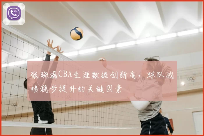 张晓磊CBA生涯数据创新高，球队战绩稳步提升的关键因素