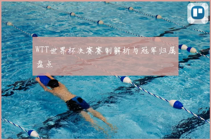 WTT世界杯决赛赛制解析与冠军归属盘点