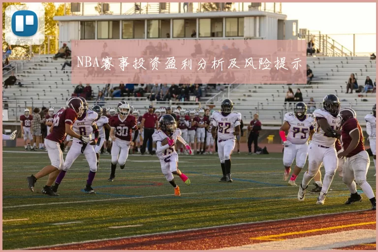 NBA赛事投资盈利分析及风险提示