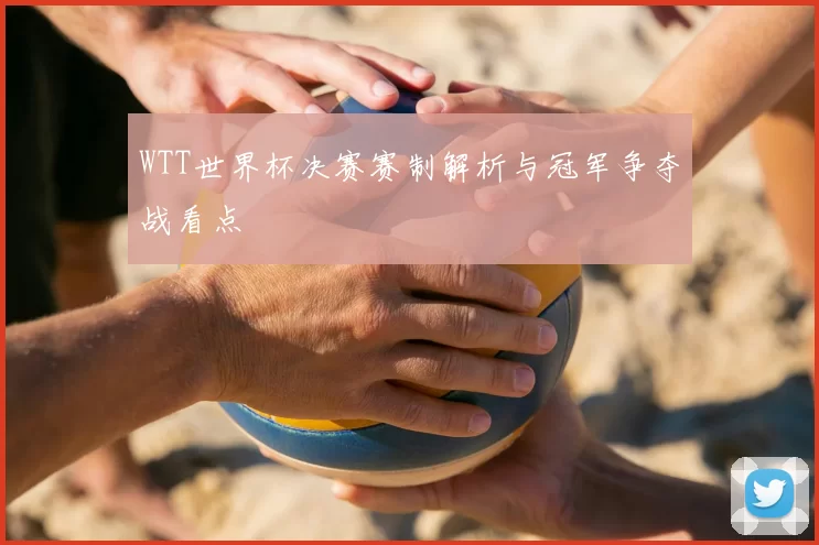 WTT世界杯决赛赛制解析与冠军争夺战看点